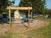 Appaloosa Before Camellias