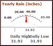 Yearly Rainfall Meter